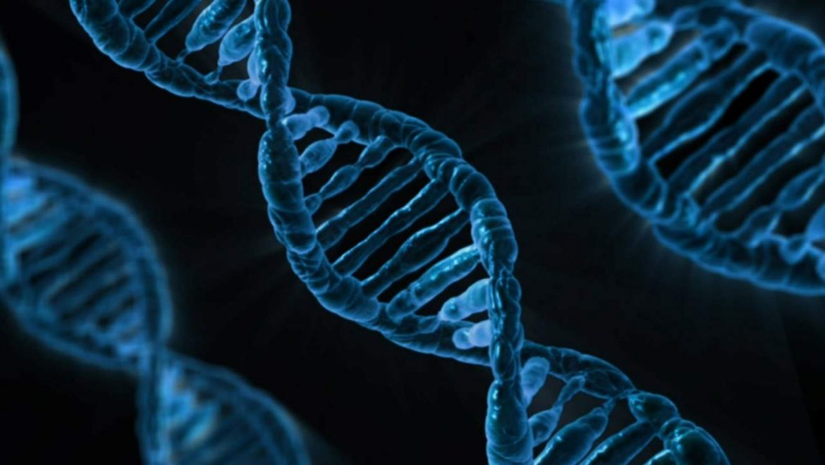23.2.12 – ה-DNA הרגשי